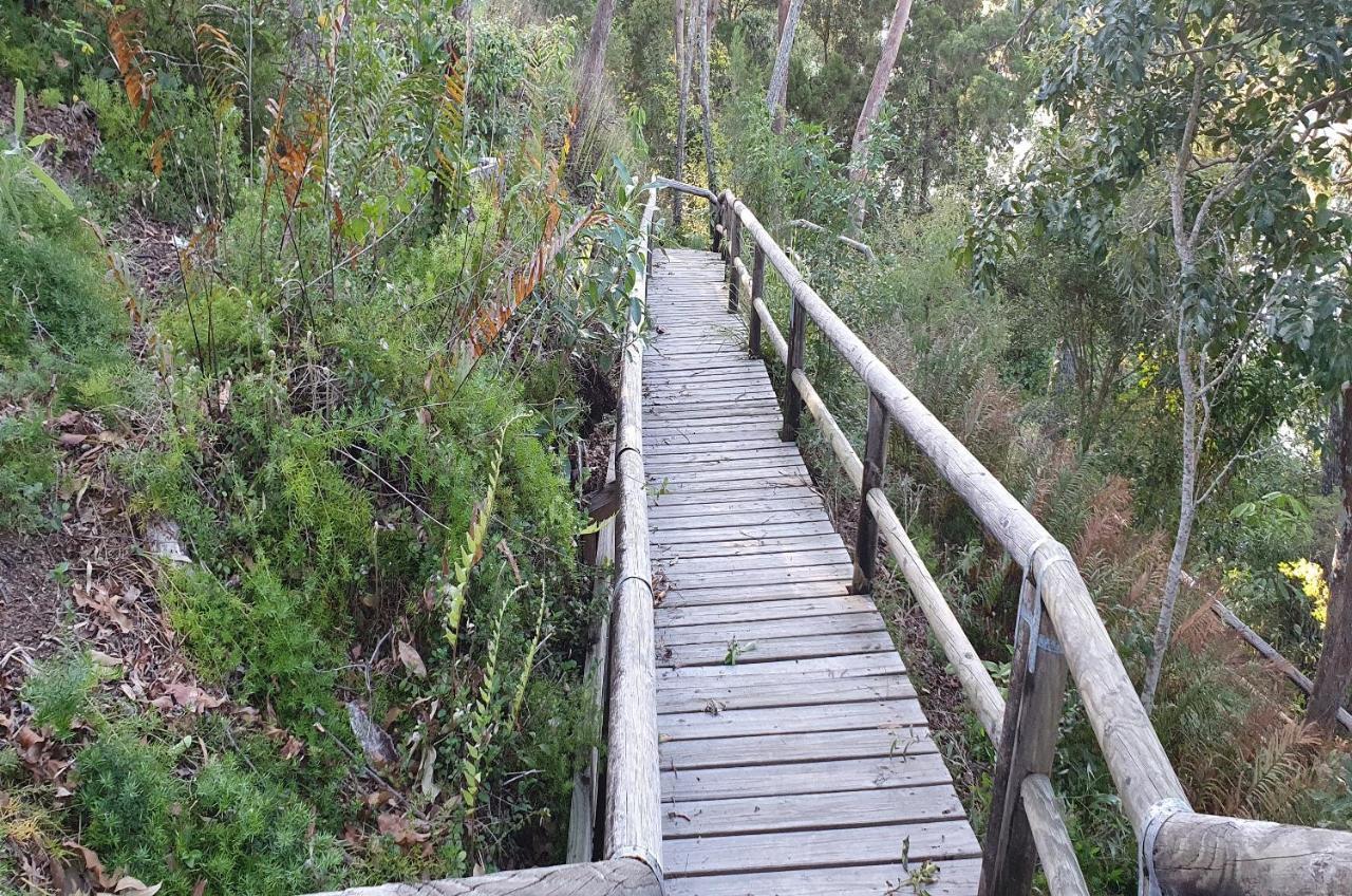 Serenity Apartments Noosa Bagian luar foto